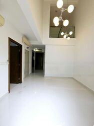 Loft @ Nathan (D10), Apartment #455988531